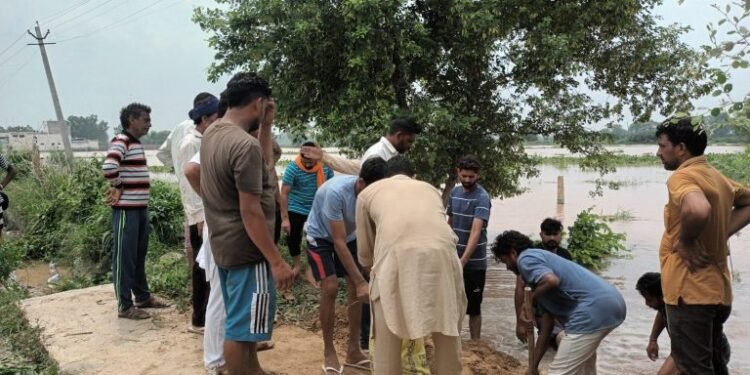 ਰੰਗੋਈ ਨਾਲੇ ਦਾ ਟੁੱਟਿਆ ਬੰਨ੍ਹ ਲੋਕਾਂ ਨੇ ਪੂਰਿਆ ਪਰ ਖ਼ਤਰਾ ਬਰਕਰਾਰ