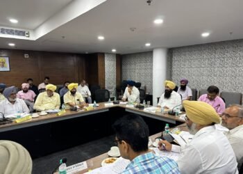 ਪੰਜਾਬ ਦੇ ਖੇਤੀਬਾੜੀ ਮੰਤਰੀ ਵੱਲੋਂ ਮੁੱਖ ਖੇਤੀਬਾੜੀ ਅਧਿਕਾਰੀਆਂ ਨੂੰ ਹੜ੍ਹ ਪ੍ਰਭਾਵਿਤ ਕਿਸਾਨਾਂ ਦੀ ਵੱਧ ਤੋਂ ਵੱਧ ਮਦਦ ਯਕੀਨੀ ਬਣਾਉਣ ਦੇ ਨਿਰਦੇਸ਼