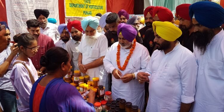 ਚੇਤਨ ਸਿੰਘ ਜੌੜਾਮਾਜਰਾ ਵੱਲੋਂ ਕਿਸਾਨਾਂ ਨੂੰ ਆਮਦਨ ਵਧਾਉਣ ਲਈ ਰਵਾਇਤੀ ਖੇਤੀ ਦੇ ਨਾਲ ਨਾਲ ਬਾਗਬਾਨੀ ਅਤੇ ਸਹਾਇਕ ਕਿੱਤੇ ਅਪਣਾਉਣ ਦਾ ਸੱਦਾ