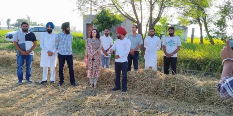 ਵਾਤਾਵਰਣ ਸੰਭਾਲ ਲਈ ਪਿੰਡ ਫਰੀਦਪੁਰ ਦਾ ਕਿਸਾਨ ਅਵਤਾਰ ਸਿੰਘ ਨਿਭਾਅ ਰਿਹੈ ਅਹਿਮ ਯੋਗਦਾਨ