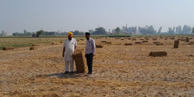 ਪਰਾਲੀ ਨੂੰ ਅੱਗ ਨਾ ਲਾਈਏ ਵਾਤਾਵਰਣ ਨੂੰ ਗੰਧਲਾ ਹੋਣੋਂ ਬਚਾਈਏ