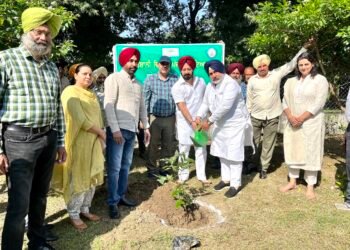 ਬਾਗਬਾਨੀ ਮੰਤਰੀ ਜੌੜਾਮਾਜਰਾ ਨੇ ਬਾਰਾਂਦਾਰੀ ‘ਚ ਅਮਲਤਾਸ ਤੇ ਗੁਲਮੋਹਰ ਦੇ 200 ਬੂਟੇ ਲਾਉਣ ਦੀ ਸ਼ੁਰੂਆਤ ਕਰਵਾਈ