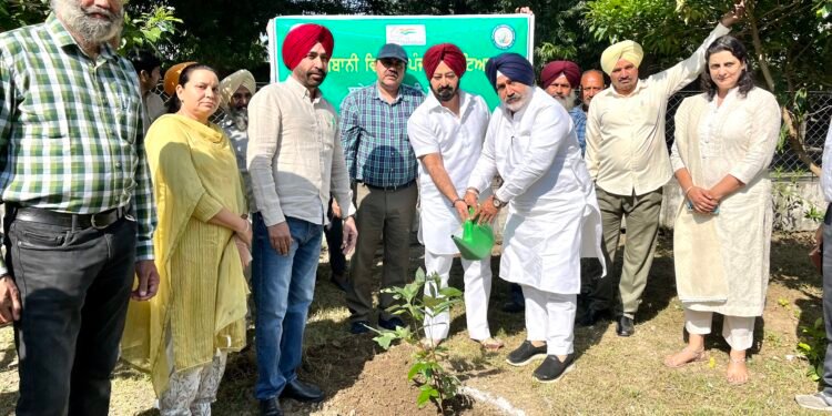 ਬਾਗਬਾਨੀ ਮੰਤਰੀ ਜੌੜਾਮਾਜਰਾ ਨੇ ਬਾਰਾਂਦਾਰੀ ‘ਚ ਅਮਲਤਾਸ ਤੇ ਗੁਲਮੋਹਰ ਦੇ 200 ਬੂਟੇ ਲਾਉਣ ਦੀ ਸ਼ੁਰੂਆਤ ਕਰਵਾਈ