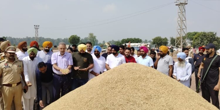 ਸਿਹਤ ਮੰਤਰੀ ਡਾ. ਬਲਬੀਰ ਸਿੰਘ ਵੱਲੋਂ ਮੰਡੀਆਂ ਦਾ ਦੌਰਾ, ਝੋਨੇ ਦੀ ਖਰੀਦ ਦਾ ਜਾਇਜ਼ਾ