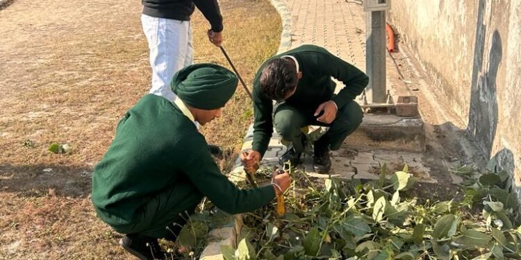 ਅਧਿਆਪਕਾਂ ਤੇ ਵਿਦਿਆਰਥੀਆਂ ਨੇ ਮੈਰੀਟੋਰੀਅਸ ਸਕੂਲ ਵਿਖੇ ਸਫ਼ਾਈ ਮੁਹਿੰਮ ਚਲਾਈ