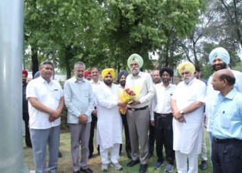 ਸੱਤ ਸੋਲਰ ਟਰੀ ਸਾਲਾਨਾ 52 ਹਜ਼ਾਰ ਯੂਨਿਟ ਪੈਦਾ ਕਰਨਗੇ : ਬਿਜਲੀ ਮੰਤਰੀ