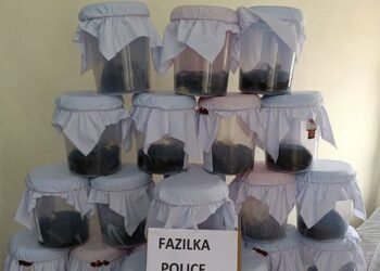 ਝਾਰਖੰਡ ਤੋਂ ਤਸਕਰੀ ਕਰਨ ਦੇ ਦੋਸ਼ ‘ਚ 2 ਵਿਅਕਤੀ ਗ੍ਰਿਫਤਾਰ