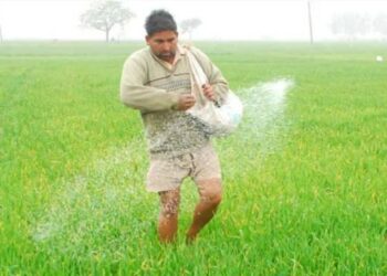 ਕੇਂਦਰੀ ਕੈਬਨਿਟ ਵੱਲੋਂ ਹਾੜ੍ਹੀ ਲਈ 24475 ਕਰੋੜ ਦੀ ਖਾਦ ਸਬਸਿਡੀ ਨੂੰ ਮਨਜ਼ੂਰੀ