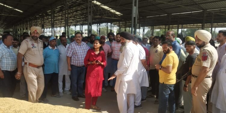 ਮੰਡੀਆਂ ’ਚ ਕਿਸਾਨਾਂ ਨੂੰ ਕਿਸੇ ਵੀ ਤਰ੍ਹਾਂ ਦੀ ਮੁਸ਼ਕਲ ਪੇਸ਼ ਨਹੀਂ ਆਉਣ ਦਿੱਤੀ ਜਾਵੇਗੀ : ਡਾ. ਪ੍ਰੀਤੀ ਯਾਦਵ