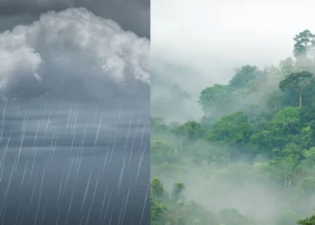 ਪੰਜਾਬ ਵਿੱਚ 3 ਦਿਨਾਂ ਤੱਕ ਮੀਂਹ ਦੀ ਉਮੀਦ ਹੈ