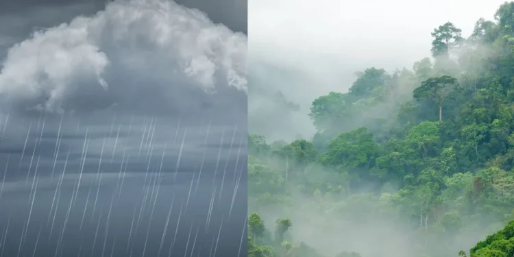 ਪੰਜਾਬ ਵਿੱਚ 3 ਦਿਨਾਂ ਤੱਕ ਮੀਂਹ ਦੀ ਉਮੀਦ ਹੈ