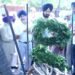 ਉੱਘੇ ਸਿੱਖ ਵਿਦਵਾਨ ਪਦਮ ਸ਼੍ਰੀ ਡਾ. ਰਤਨ ਸਿੰਘ ਜੱਗੀ ਦਾ ਧਾਰਮਿਕ ਰਹੁ ਰੀਤਾਂ ਤੇ ਸਰਕਾਰੀ ਸਨਮਾਨਾਂ ਨਾਲ ਅੰਤਿਮ ਸਸਕਾਰ