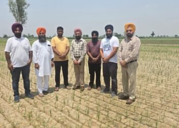 ਝੋਨੇ ਦੀ ਬਿਜਾਈ ਕਿਸਮ ਅਨੁਸਾਰ ਅਤੇ ਢੁਕਵੇਂ ਸਮੇਂ ’ਤੇ ਹੀ ਕਰਨ ਕਿਸਾਨ : ਮੁੱਖ ਖੇਤੀਬਾੜੀ ਅਫ਼ਸਰ